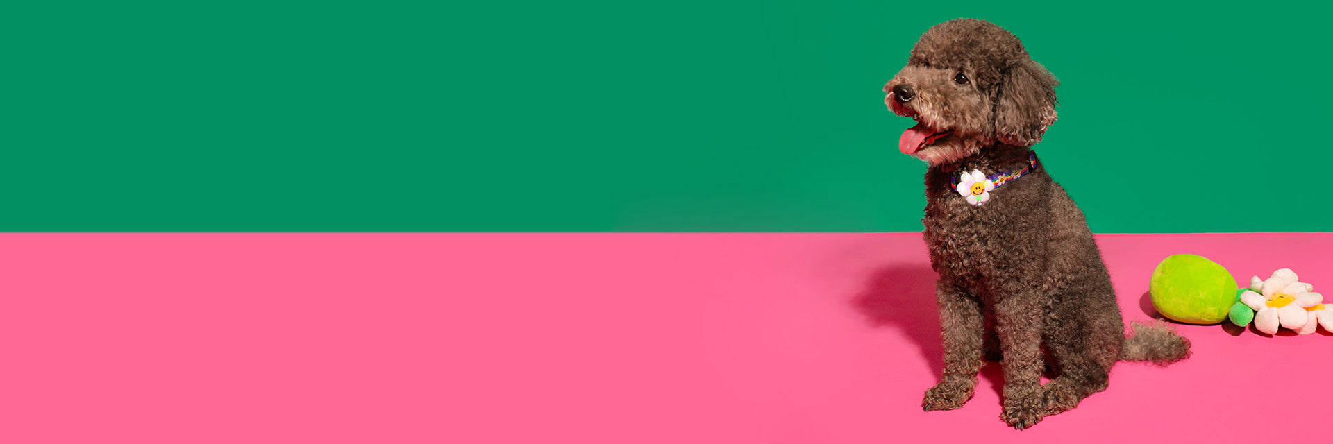 PET
